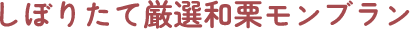 しぼりたて厳選 和栗モンブラン