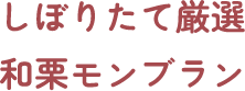 しぼりたて厳選 和栗モンブラン